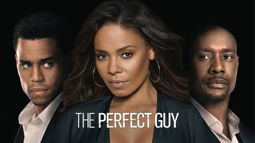 The Perfect Guy still