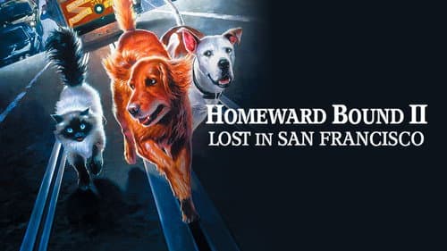Homeward Bound II: Lost in San Francisco still