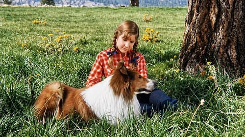 Lassie: Joyous Sound still
