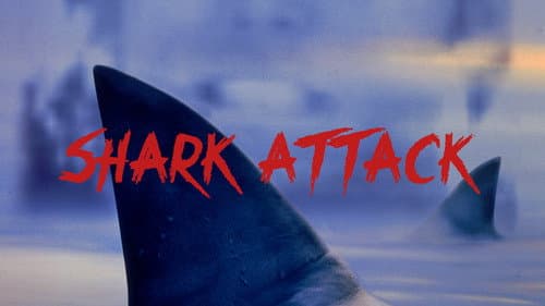 Shark Attack still
