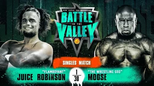 NJPW Battle In The Valley 2021 still