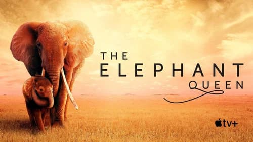 The Elephant Queen still