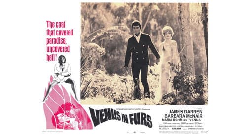 Venus in Furs still
