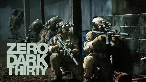 Zero Dark Thirty still