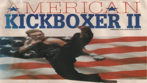 American Kickboxer 2 still