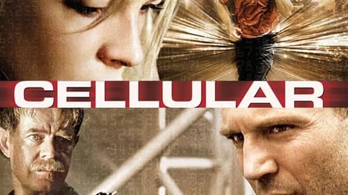Cellular still