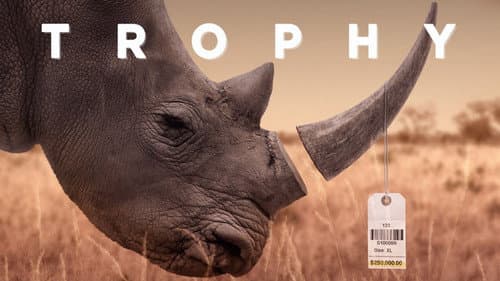 Trophy still