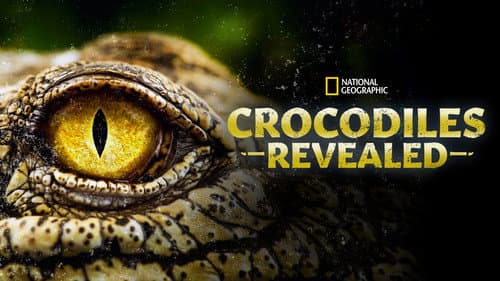 Crocodiles Revealed still