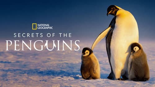 Secrets of the Penguins still