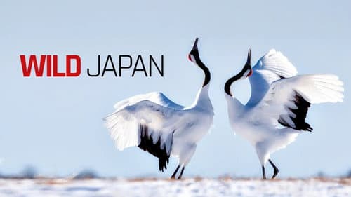 Japan: Earth's Enchanted Islands still