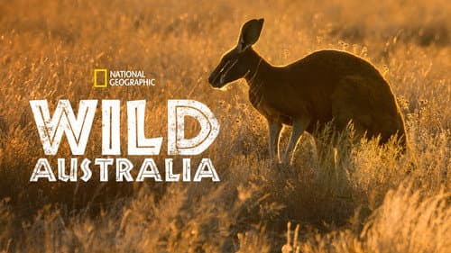 Wild Australia still