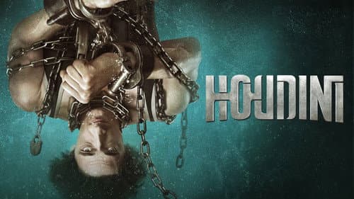 Houdini still