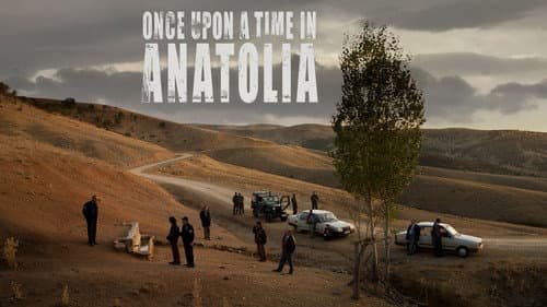 Once Upon a Time in Anatolia still