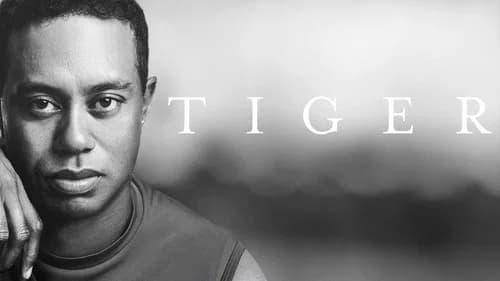 Tiger still