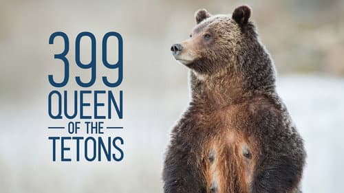 Grizzly 399: Queen of the Tetons still