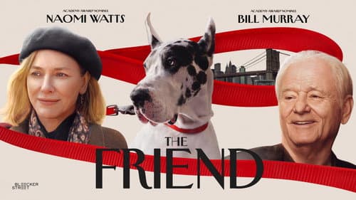 The Friend still