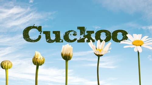 Cuckoo still