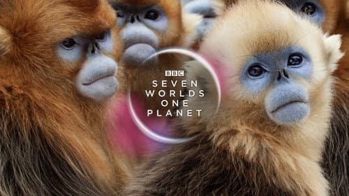 Seven Worlds, One Planet still