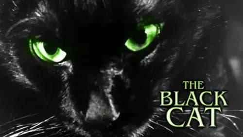 The Black Cat still