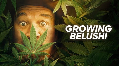 Growing Belushi still