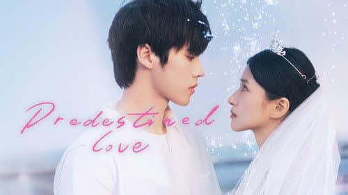 Predestined Love still