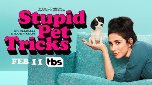 Stupid Pet Tricks still