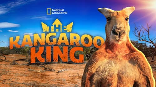 The Kangaroo King still