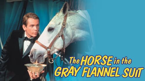 The Horse in the Gray Flannel Suit still