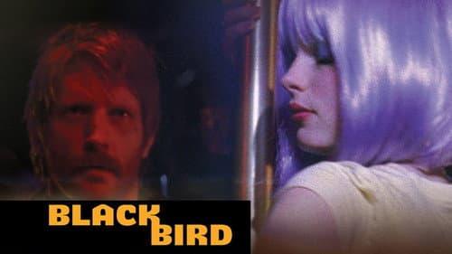 Blackbird still