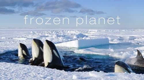 Frozen Planet still