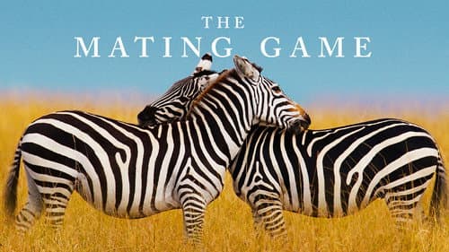 The Mating Game still