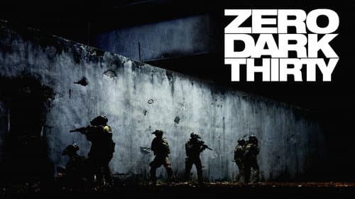 Zero Dark Thirty still