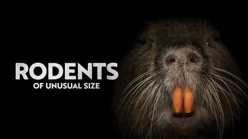 Rodents of Unusual Size still