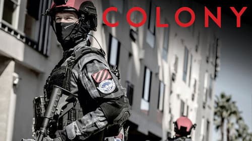 Colony still