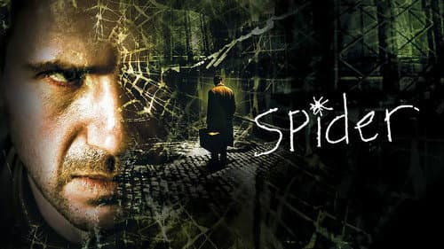Spider still