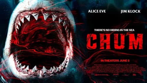 Chum still