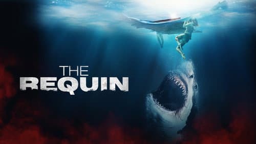 The Requin still