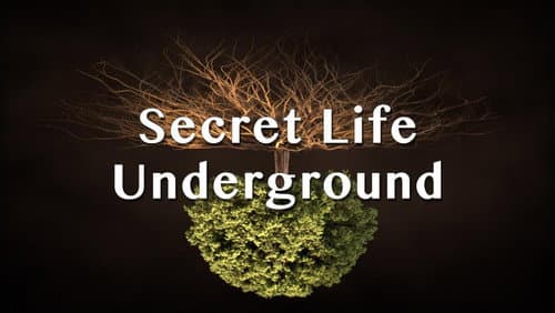 Secret Life Underground still
