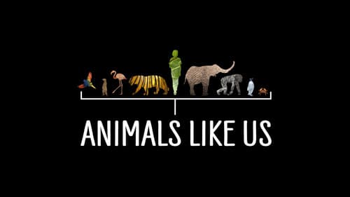 Animals Like Us still