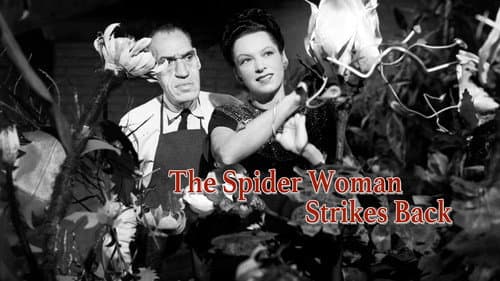 The Spider Woman Strikes Back still