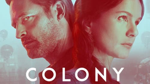 Colony still
