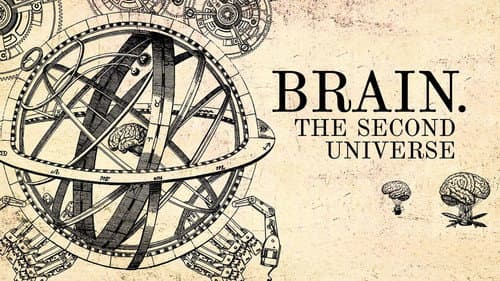 Brain. Second Universe still