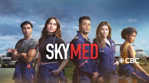 SkyMed still