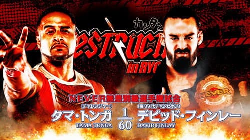 NJPW Destruction In Ryogoku 2023 still