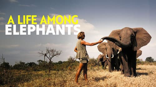 A Life Among Elephants still