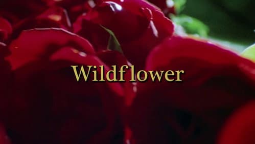 Wildflower still
