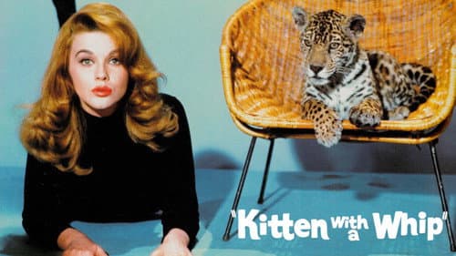 Kitten with a Whip still