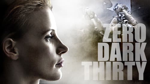 Zero Dark Thirty still