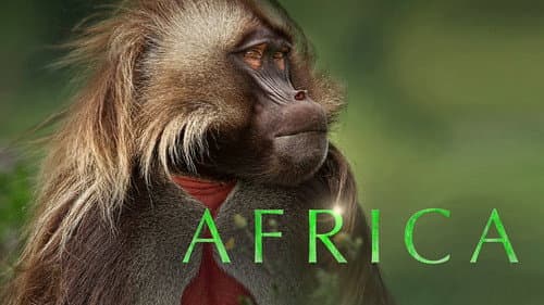 Africa still