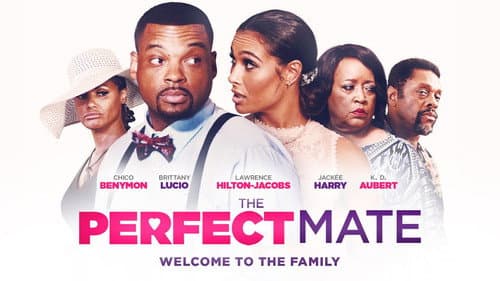 The Perfect Mate still